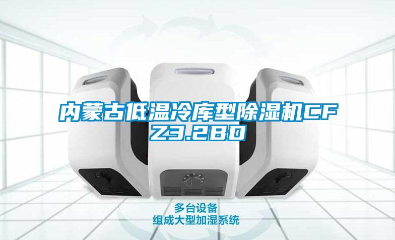 內(nèi)蒙古低溫冷庫型除濕機CFZ3.2BD