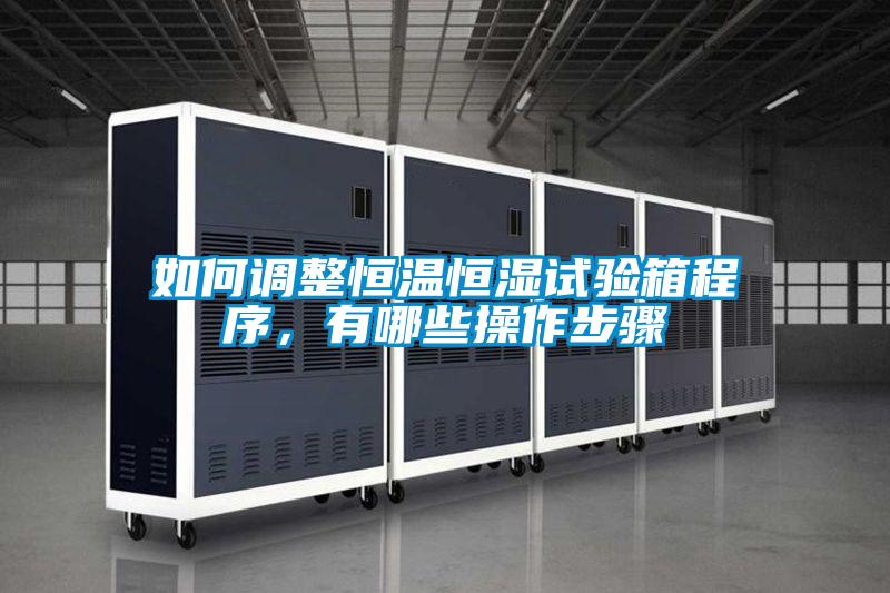 如何調(diào)整恒溫恒濕試驗(yàn)箱程序，有哪些操作步驟