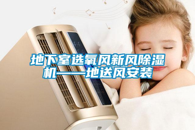 地下室選氧風(fēng)新風(fēng)除濕機——地送風(fēng)安裝