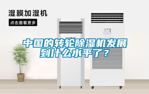 中國(guó)的轉(zhuǎn)輪除濕機(jī)發(fā)展到什么水平了？
