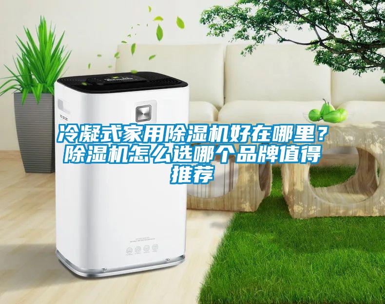 冷凝式家用除濕機(jī)好在哪里？除濕機(jī)怎么選哪個(gè)品牌值得推薦