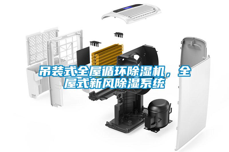 吊裝式全屋循環(huán)除濕機(jī)，全屋式新風(fēng)除濕系統(tǒng)
