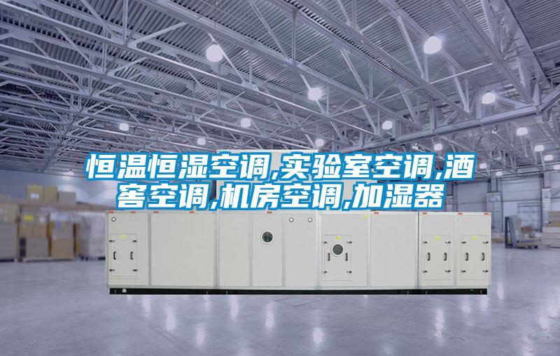 恒溫恒濕空調(diào),實驗室空調(diào),酒窖空調(diào),機(jī)房空調(diào),加濕器