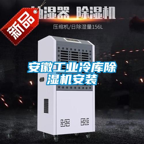 安徽工業(yè)冷庫(kù)除濕機(jī)安裝