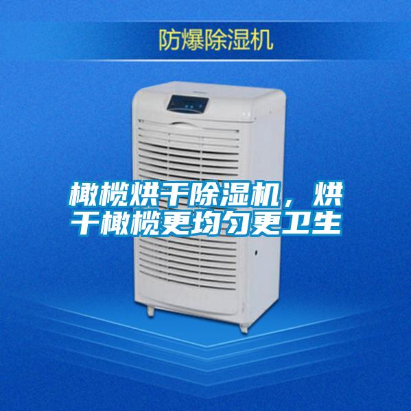 橄欖烘干除濕機，烘干橄欖更均勻更衛(wèi)生