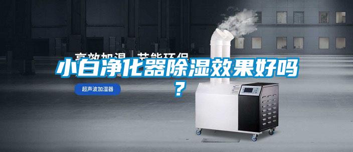 小白凈化器除濕效果好嗎？