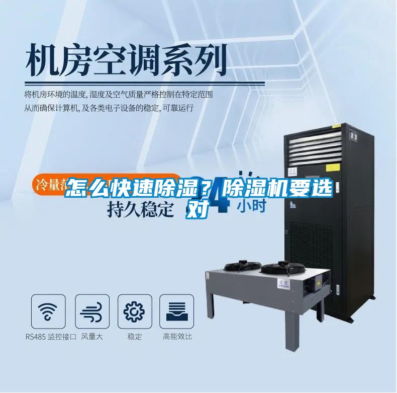 怎么快速除濕？除濕機要選對