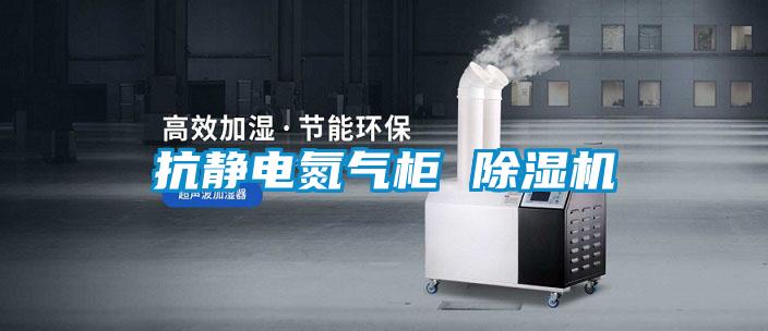 抗靜電氮氣柜 除濕機(jī)