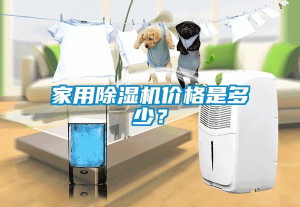家用除濕機價格是多少？