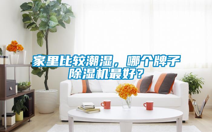 家里比較潮濕，哪個(gè)牌子除濕機(jī)最好？