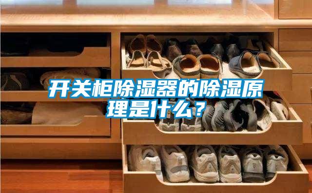 開關(guān)柜除濕器的除濕原理是什么？