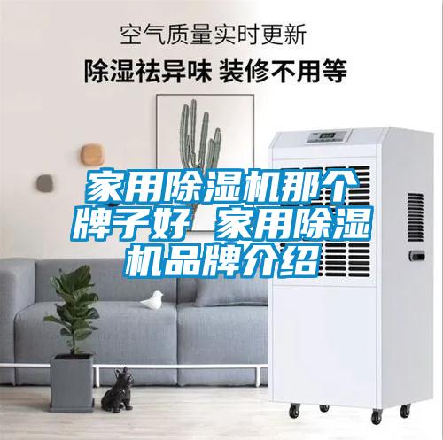 家用除濕機(jī)那個牌子好 家用除濕機(jī)品牌介紹