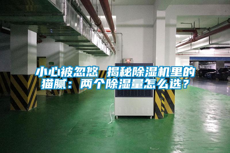小心被忽悠 揭秘除濕機里的貓膩：兩個除濕量怎么選？