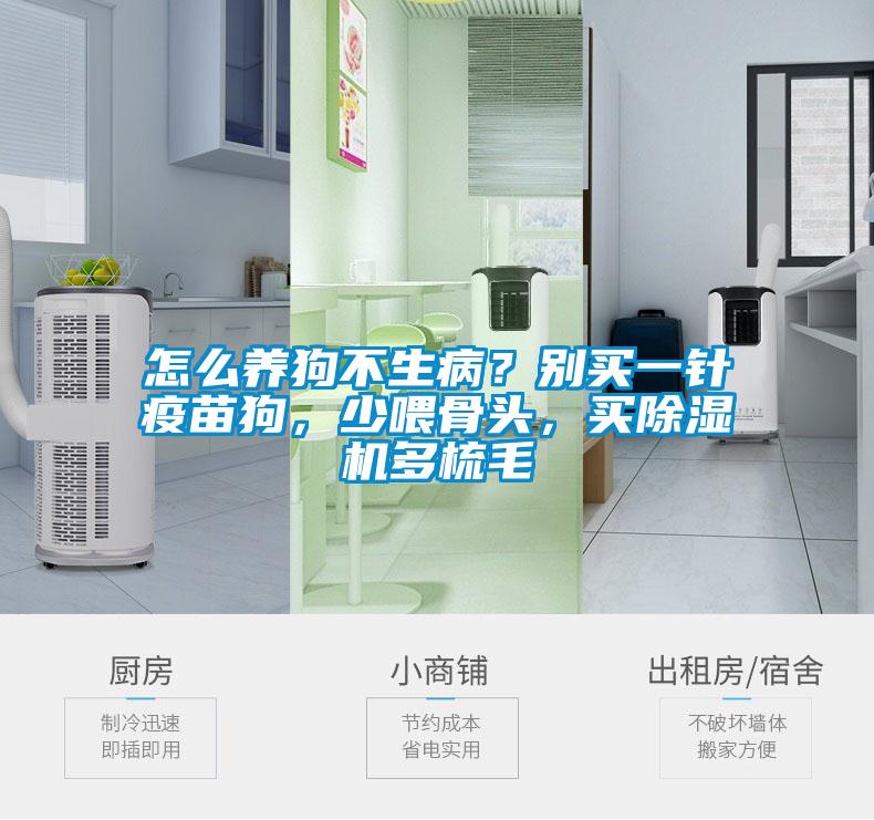 怎么養(yǎng)狗不生?。縿e買一針疫苗狗，少喂骨頭，買除濕機多梳毛
