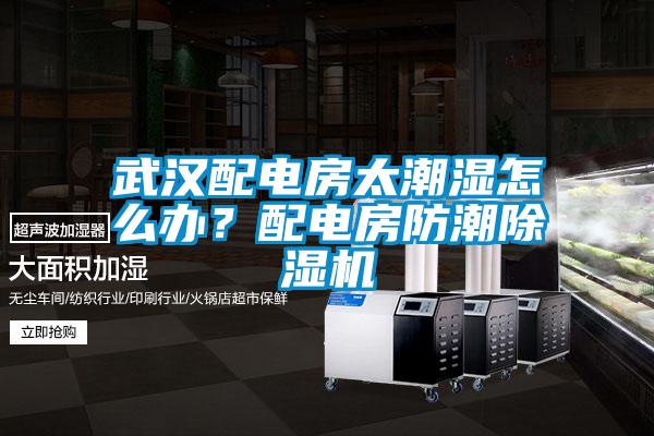 武漢配電房太潮濕怎么辦？配電房防潮除濕機(jī)