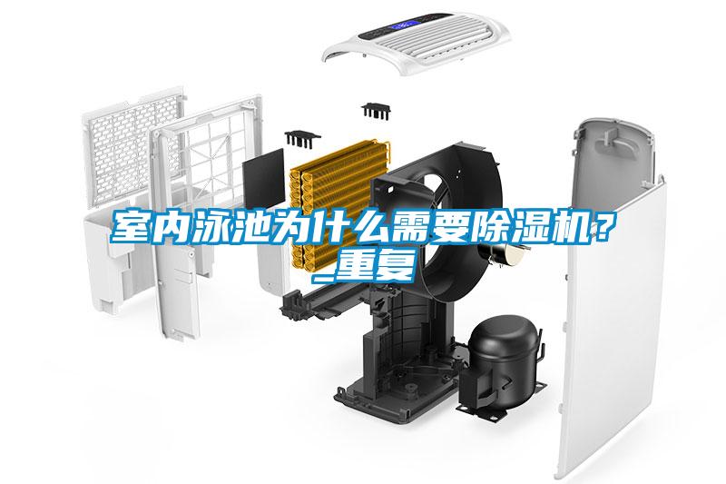室內(nèi)泳池為什么需要除濕機？_重復(fù)