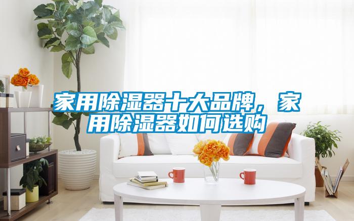家用除濕器十大品牌，家用除濕器如何選購(gòu)