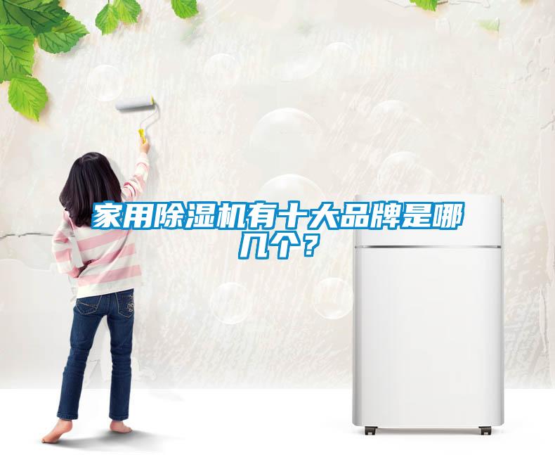 家用除濕機(jī)有十大品牌是哪幾個？