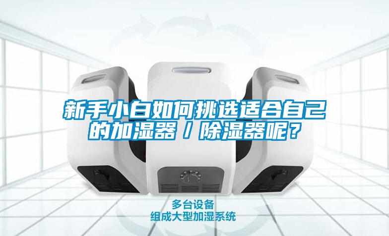 新手小白如何挑選適合自己的加濕器／除濕器呢？