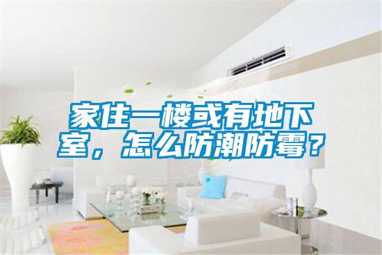家住一樓或有地下室，怎么防潮防霉？