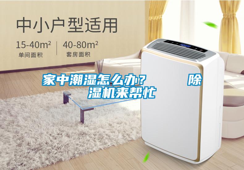 家中潮濕怎么辦？    除濕機(jī)來(lái)幫忙
