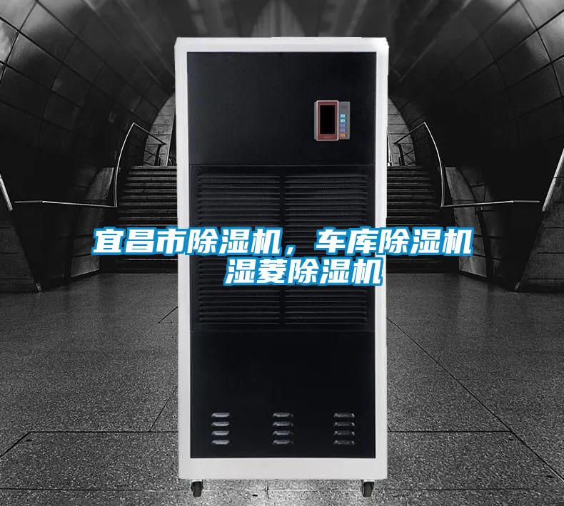 宜昌市除濕機(jī)，車庫(kù)除濕機(jī)  濕菱除濕機(jī)