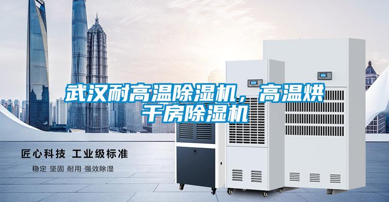 武漢耐高溫除濕機，高溫烘干房除濕機