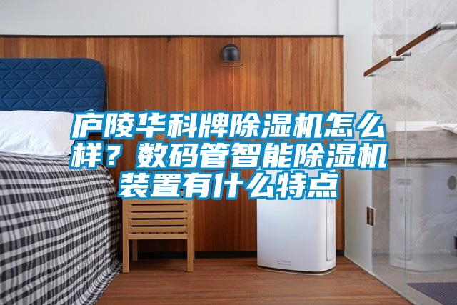 廬陵華科牌除濕機怎么樣？數(shù)碼管智能除濕機裝置有什么特點