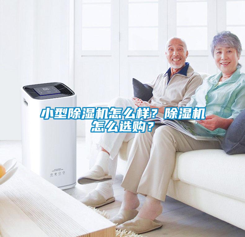 小型除濕機怎么樣？除濕機怎么選購？