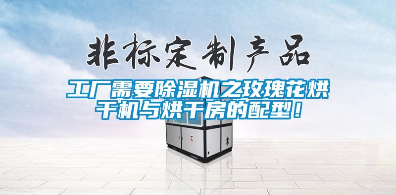 工廠需要除濕機之玫瑰花烘干機與烘干房的配型！