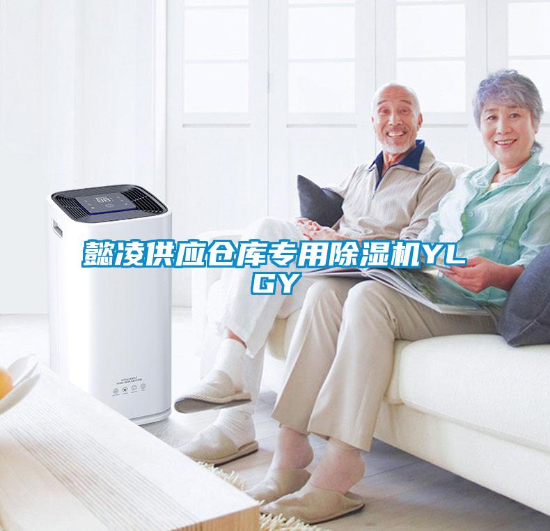 懿凌供應(yīng)倉(cāng)庫(kù)專(zhuān)用除濕機(jī)YLGY