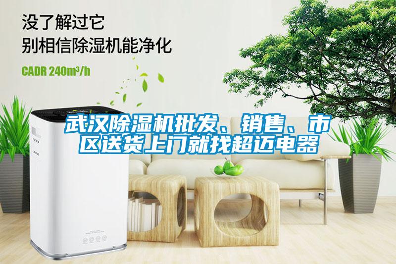 武漢除濕機(jī)批發(fā)、銷售、市區(qū)送貨上門就找超邁電器