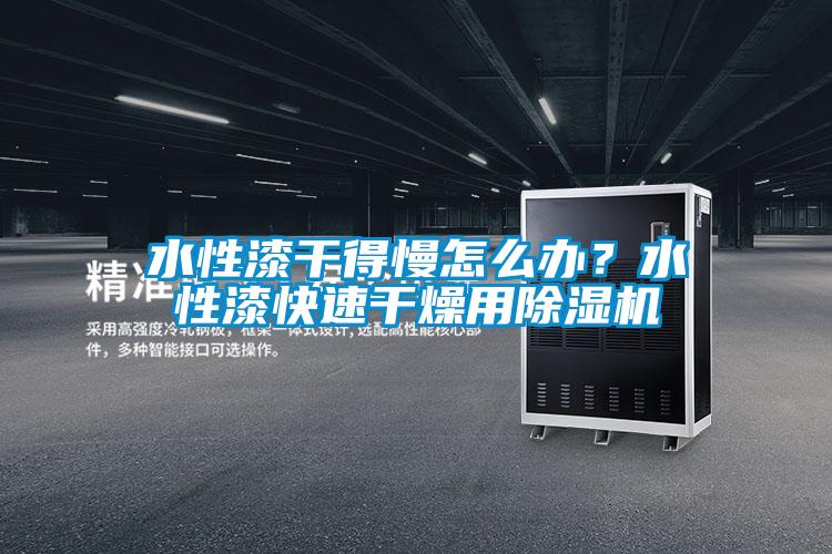 水性漆干得慢怎么辦？水性漆快速干燥用除濕機