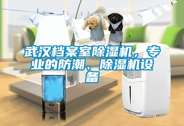 武漢檔案室除濕機，專業(yè)的防潮、除濕機設備