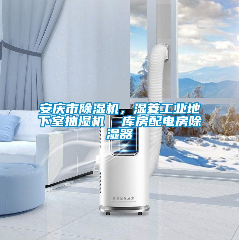 安慶市除濕機(jī)，濕菱工業(yè)地下室抽濕機(jī)  庫房配電房除濕器