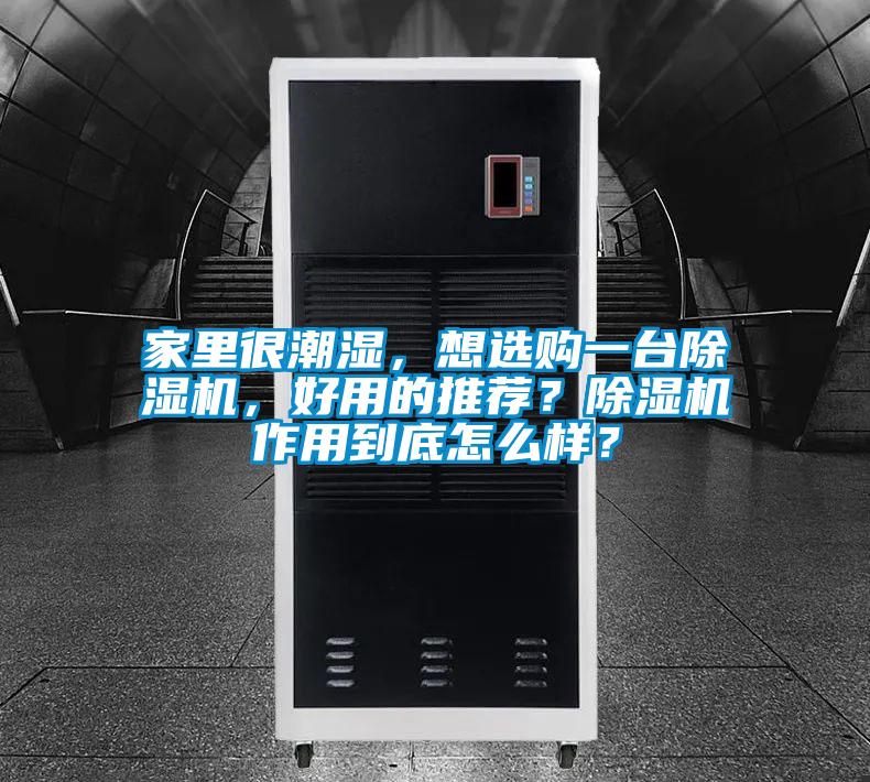 家里很潮濕，想選購一臺除濕機，好用的推薦？除濕機作用到底怎么樣？