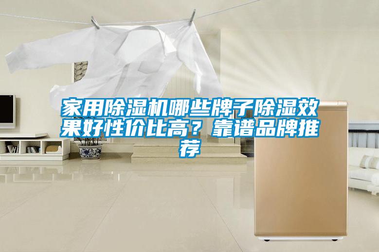 家用除濕機哪些牌子除濕效果好性價比高？靠譜品牌推薦