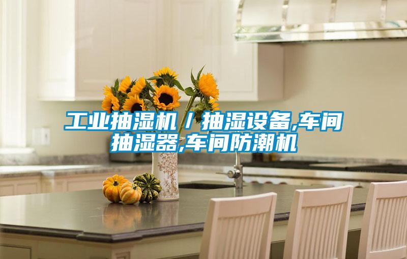 工業(yè)抽濕機(jī)／抽濕設(shè)備,車(chē)間抽濕器,車(chē)間防潮機(jī)