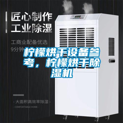 檸檬烘干設(shè)備參考，檸檬烘干除濕機(jī)