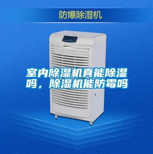 室內(nèi)除濕機(jī)真能除濕嗎，除濕機(jī)能防霉嗎