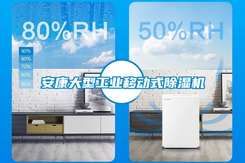 安康大型工業(yè)移動式除濕機(jī)
