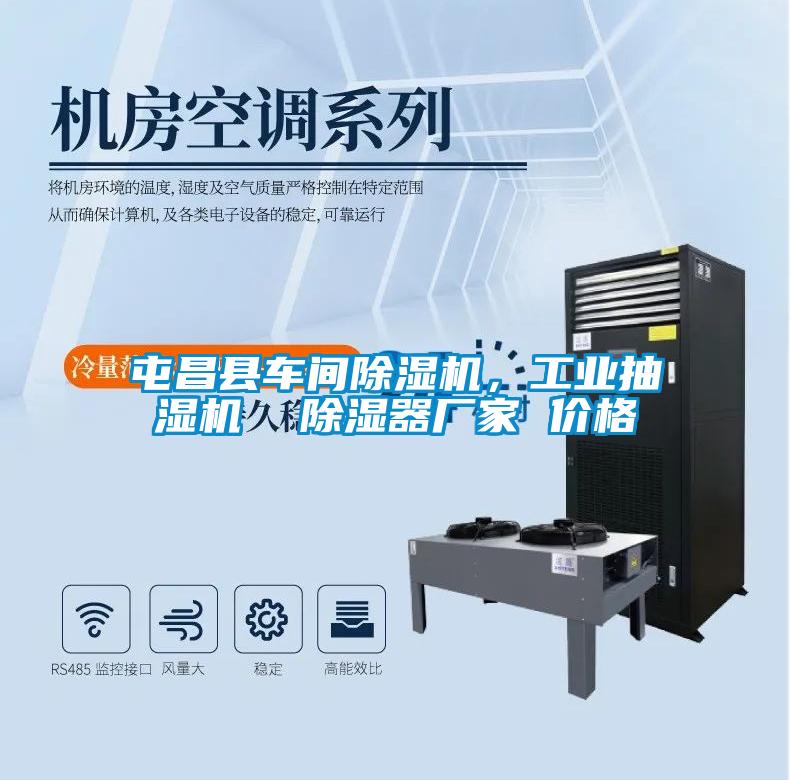 屯昌縣車間除濕機(jī)，工業(yè)抽濕機(jī)  除濕器廠家 價(jià)格