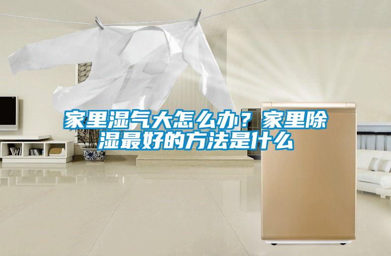家里濕氣大怎么辦？家里除濕最好的方法是什么