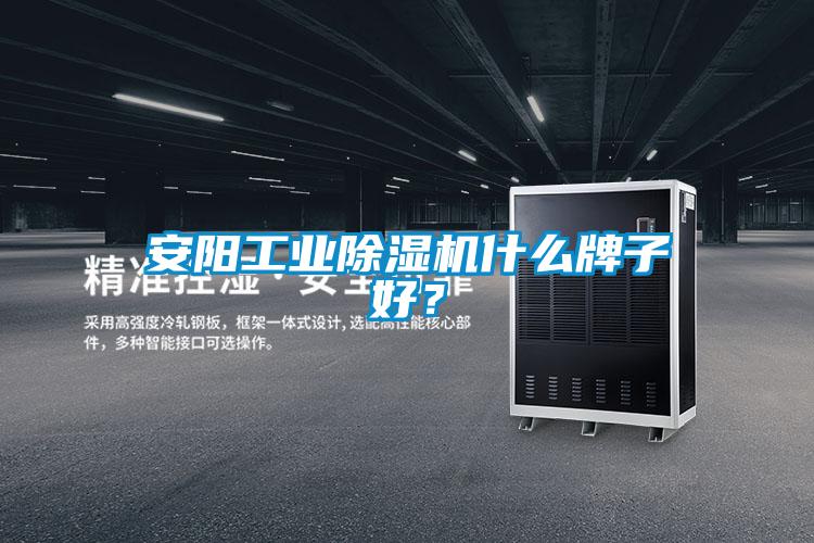 安陽工業(yè)除濕機什么牌子好？