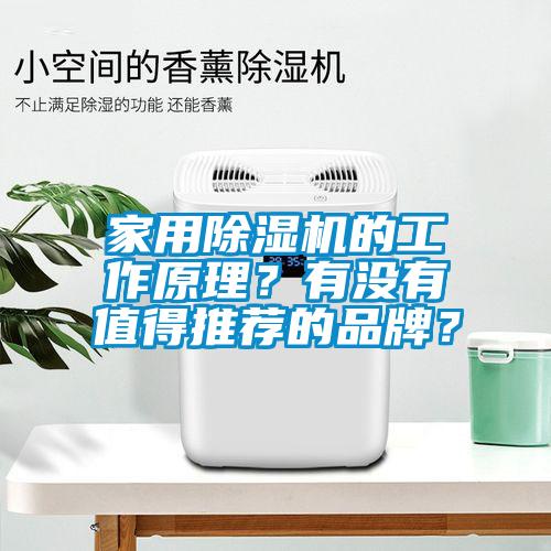 家用除濕機(jī)的工作原理？有沒有值得推薦的品牌？