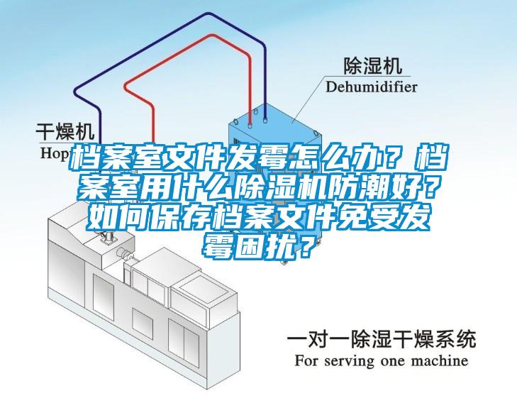 檔案室文件發(fā)霉怎么辦？檔案室用什么除濕機防潮好？如何保存檔案文件免受發(fā)霉困擾？