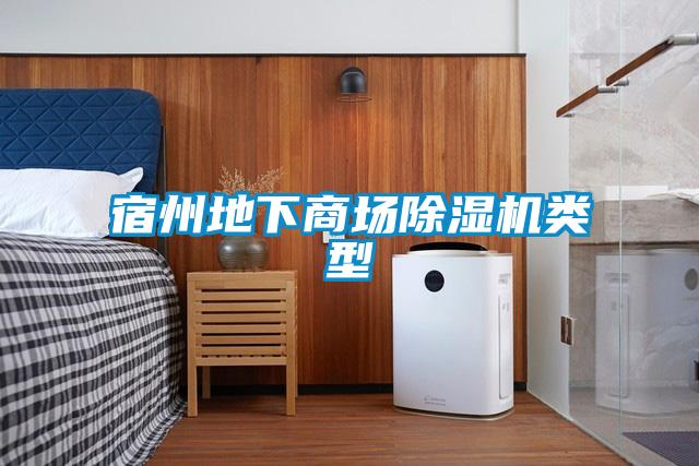宿州地下商場除濕機(jī)類型