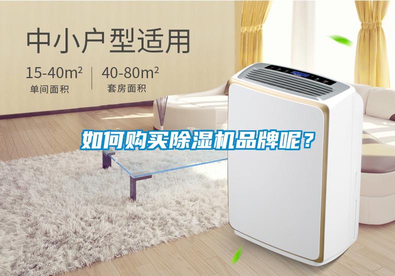 如何購買除濕機(jī)品牌呢？