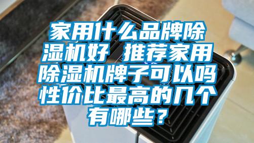 家用什么品牌除濕機好 推薦家用除濕機牌子可以嗎性價比最高的幾個有哪些？