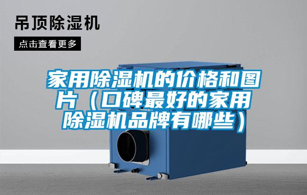 家用除濕機(jī)的價格和圖片（口碑最好的家用除濕機(jī)品牌有哪些）